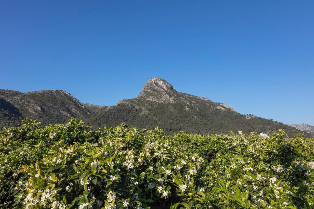 La Solana Villa Gandía Dış mekan fotoğraf